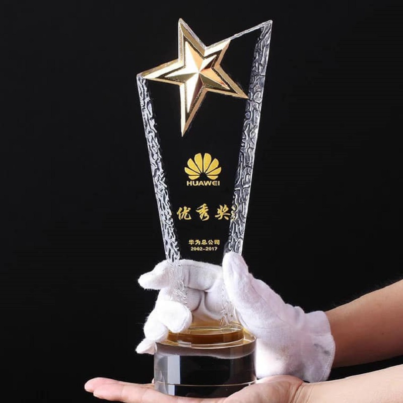 chọn đế cup vinh danh